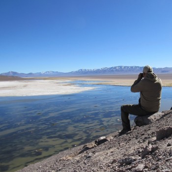 Travesía Trasandina - de los Andes al Mar