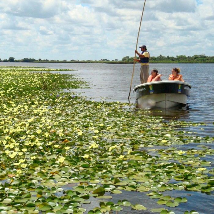 Experiencia Iberá 3 noches