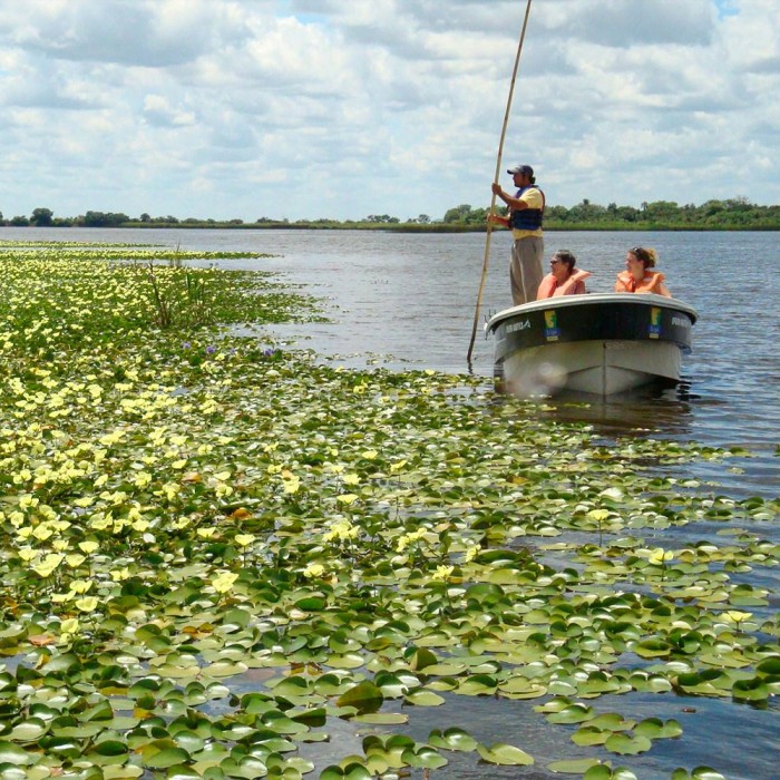 Experiencia Iberá 3 noches Abril / Junio 2024